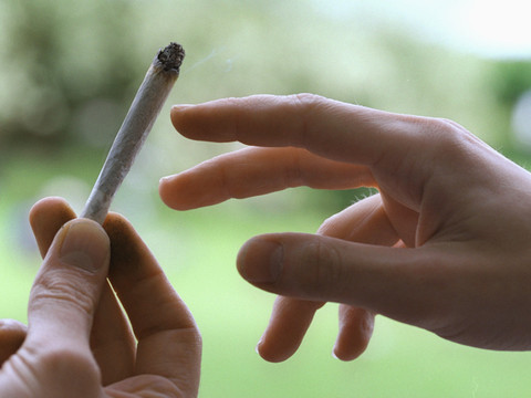 Des projets de remise de cannabis devraient pouvoir être menés