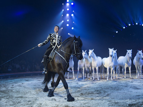 La 100e tournée du cirque Knie démarre à Rapperswil (SG)