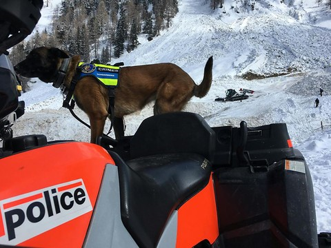 Recherches interrompues sur l'avalanche de Riddes