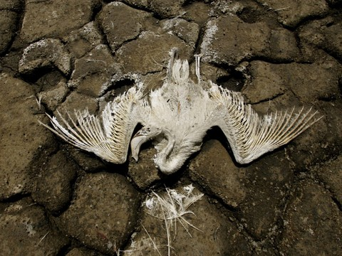 Désaliniser l'eau de mer, insuffisant pour régler la crise de l'eau