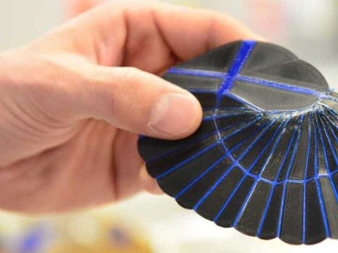 EPFZ: structures en origami basées sur les ailes de perce-oreille
