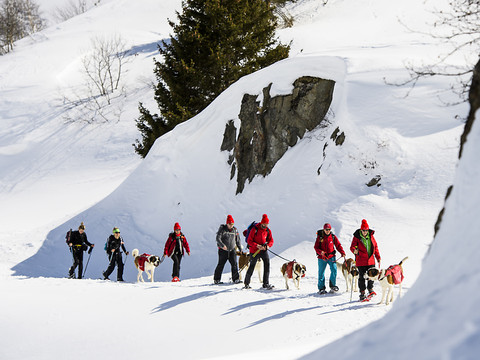 Une personne extraite vivante d'une avalanche au Grand-St-Bernard