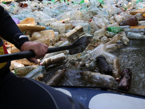 Des chercheurs créent par hasard une enzyme dévoreuse de plastique