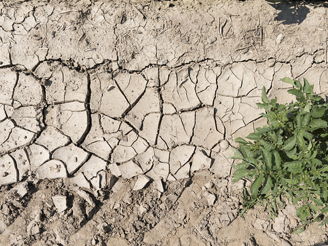 La pression sur les sols continue de s'aggraver en Suisse