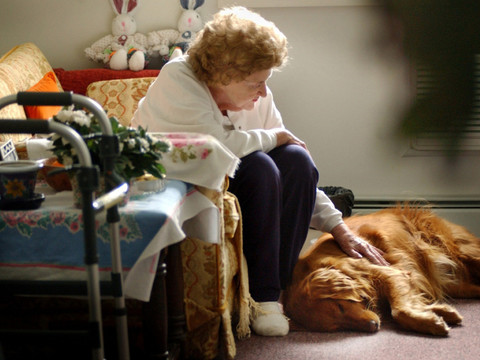 Les animaux de compagnie utiles pour les seniors dans les homes
