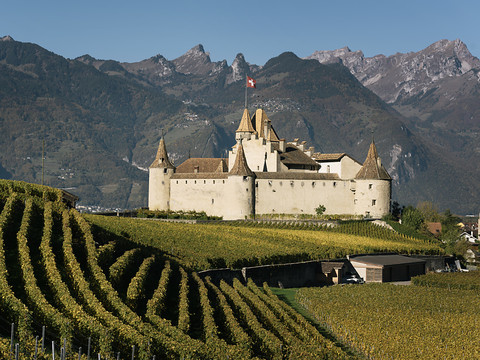 Aigle accueillera un prestigieux concours de vins en 2019