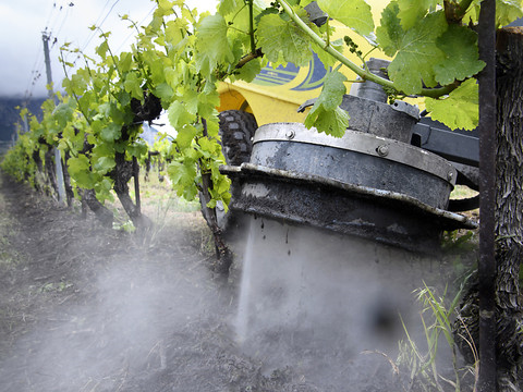 De l'eau en guise d'herbicide dans le vignoble valaisan