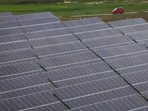 L'économie verte va stimuler l'emploi mais décimer l'agriculture