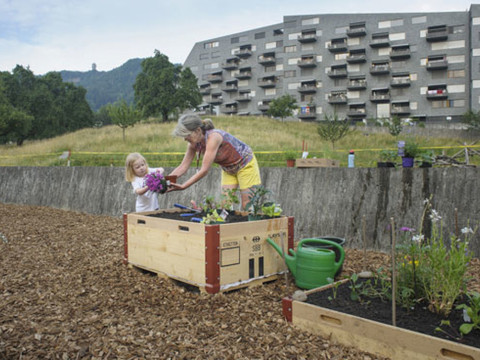 Promouvoir la biodiversité dans son propre jardin et pleine ville