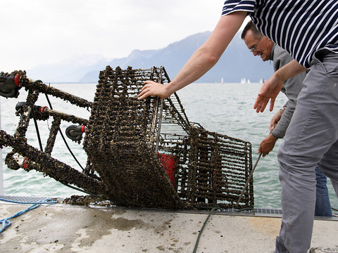 De la ferraille, du plastique et un obus trouvés dans le Léman