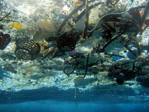 L'UE veut bannir les produits plastiques à usage unique