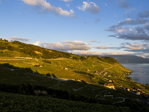Une nouvelle série romande tournée dans le Lavaux