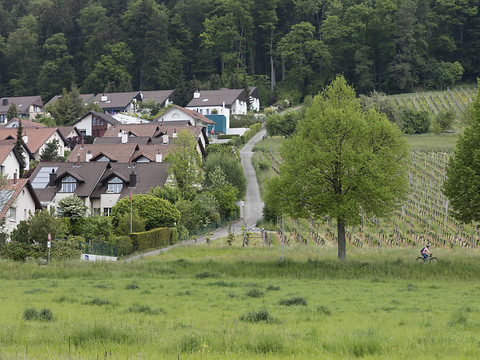 Le National devrait rejeter l'initiative contre le mitage