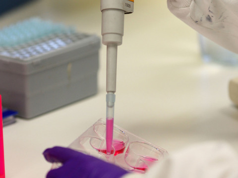 Cancer: efficacité prouvée des traitements ciblés génétiquement
