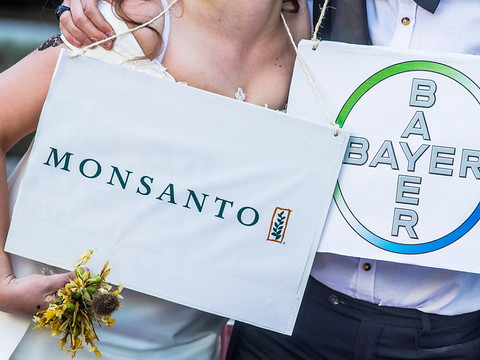 Bayer mise sur l'agriculture intensive en croquant Monsanto