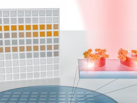EPFL: un code-barres pour les molécules et les polluants