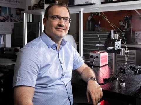 Un capteur biologique de lumière filmé en pleine action