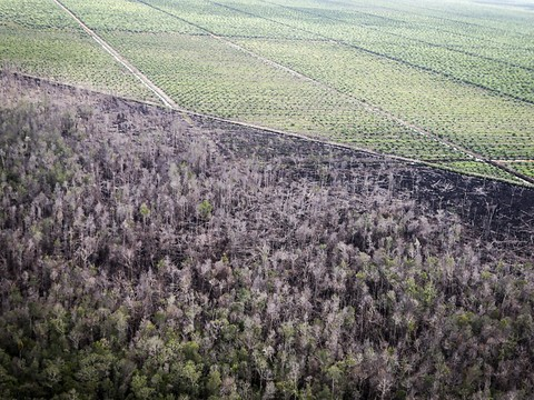 Première européenne: détergent suisse respectant l'environnement