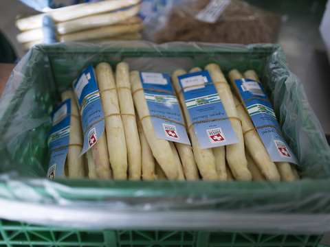 Production record d'asperges blanches sur sol suisse