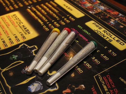 Le gouvernement néerlandais lance une expérience de culture légale de cannabis