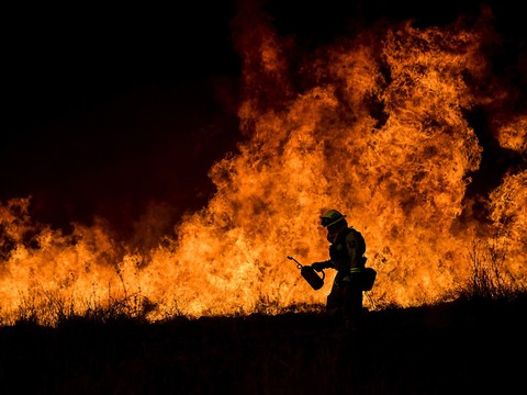 L'Ouest américain en proie à une canicule record et des incendies