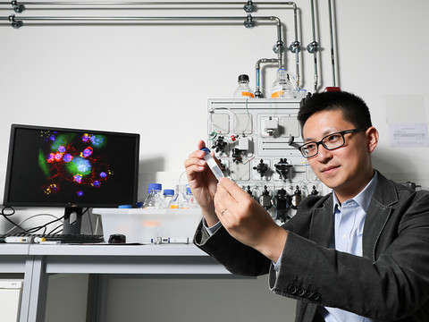 EPFL: vers une immunothérapie qui ne s’attaque qu’aux tumeurs