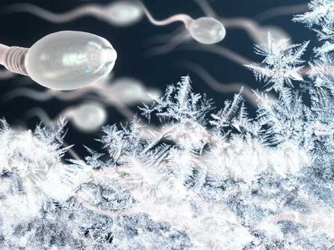 Du froid avant la conception est bon pour la descendance