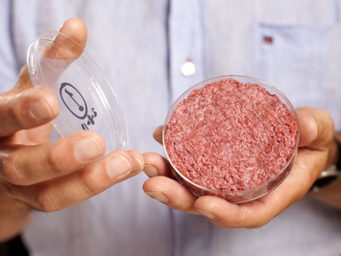 Bell se lance dans la production de viande synthétique