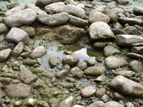 Le niveau des eaux reste bas dans les rivières suisses