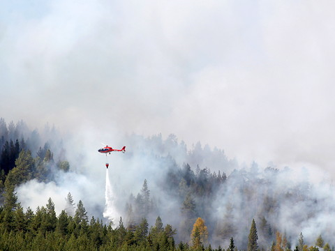 La Suède en proie à des dizaines de feux de forêt