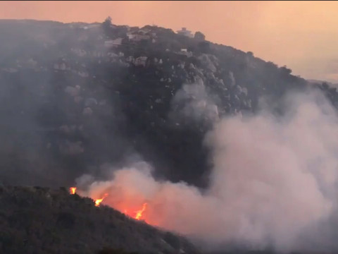 Incendie de forêt en Lettonie: près de 1000 hectares détruits