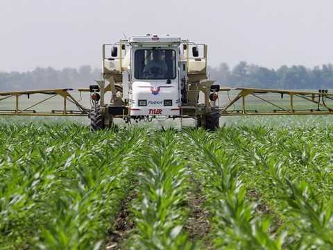 Les ventes d'herbicides en Suisse baissent depuis 2008
