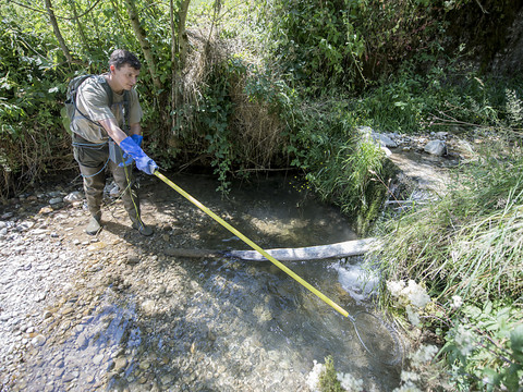 Sécheresse: cours d'eau amaigris et risque d'incendie de forêts