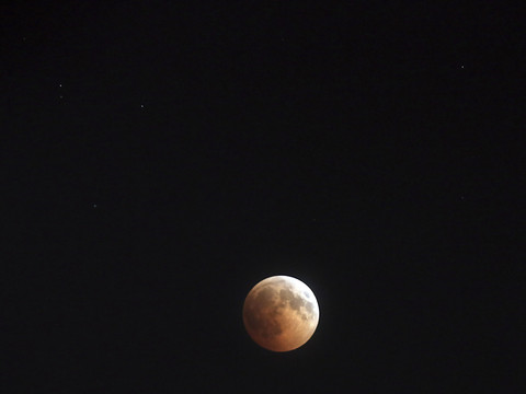 Les phénomènes comme l'éclipse lunaire suscitent un vif intérêt