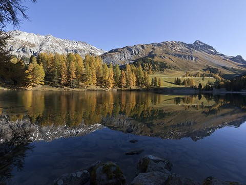 Glissement de terrain sur la route du col de l'Albula