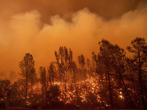 Un septième mort dans l'incendie 