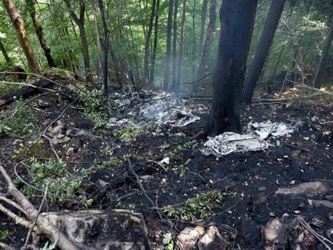 Une famille meurt dans le crash d'un avion à Hergiswil (NW)