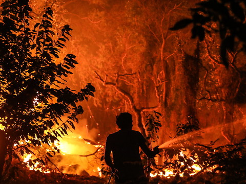 Lourd bilan de la canicule en Europe, le feu menace une ville au Portugal