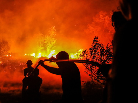 Le Portugal maîtrise un feu de forêt après une semaine