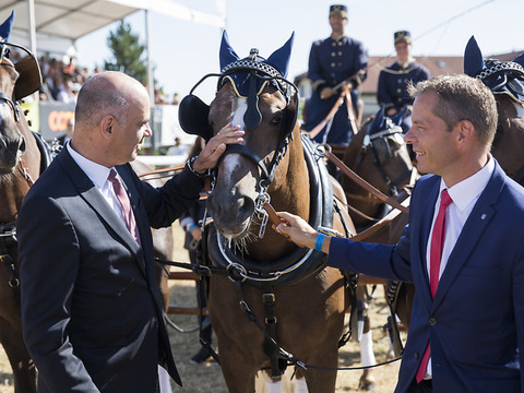 Quelque 55'000 personnes à la fête du cheval à Saignelégier (JU)
