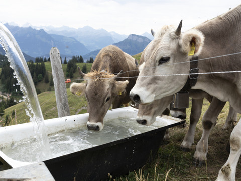 Uniterre lance sa campagne pour une souveraineté alimentaire