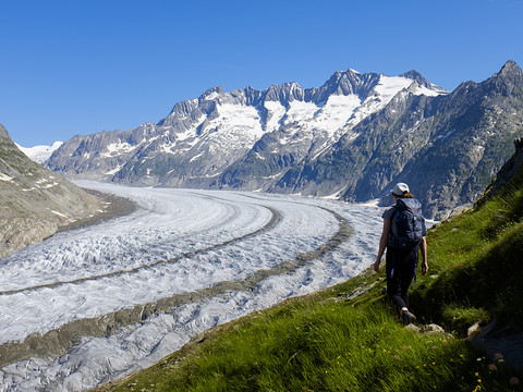 Des mesures pourraient encore sauver en partie les grands glaciers