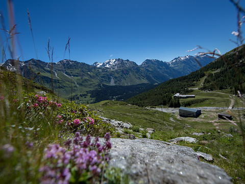 Période estivale positive pour le tourisme suisse
