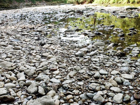 Niveau des cours d'eau très bas et pas d'amélioration en vue