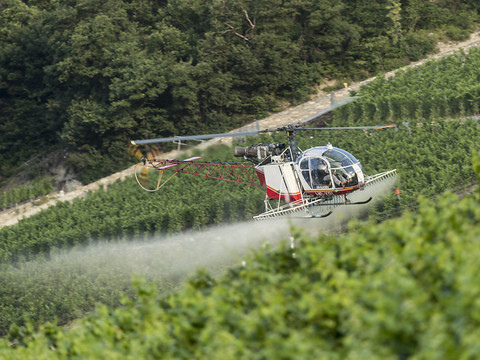 Interdire les pesticides de synthèse irait trop loin