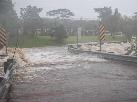 Rétrogradé en tempête tropicale, Lane déverse des trombes d'eau sur Hawaï