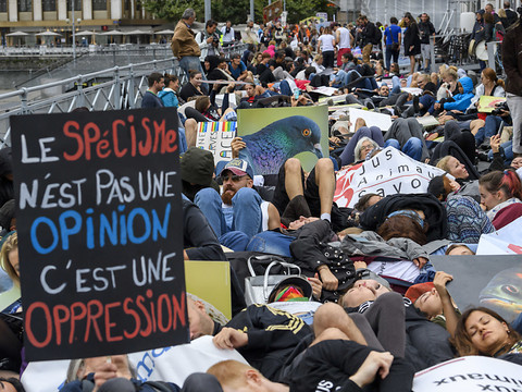 Les antispécistes crient leur indignation dans les rues de Genève