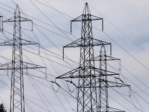 Pas assez de protection dans le domaine de l'économie électrique