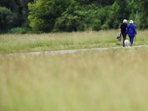 Le taux d'intérêt minimal de la LPP devrait baisser à 0,75%