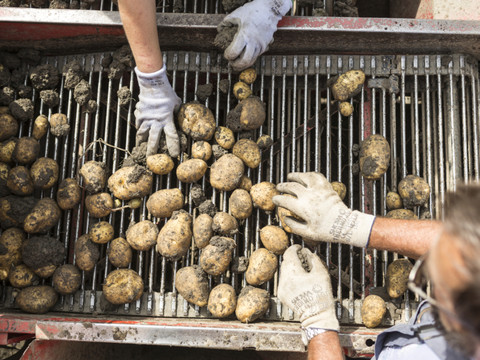 Avenir Suisse veut revoir la politique agricole - L'USP s'insurge